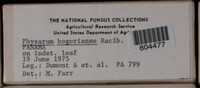Image Associated With the Occurence